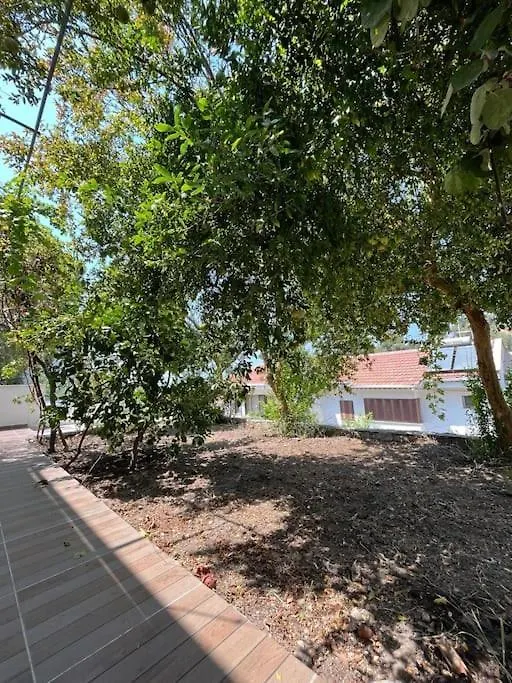 Deniz Manzarali Muestakil Villa Milas